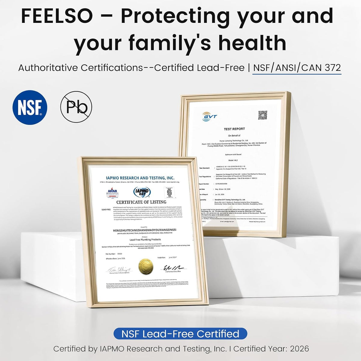 FEELSO Kitchen Faucet with Pull Down Sprayer Stainless Steel Brushed Nickel