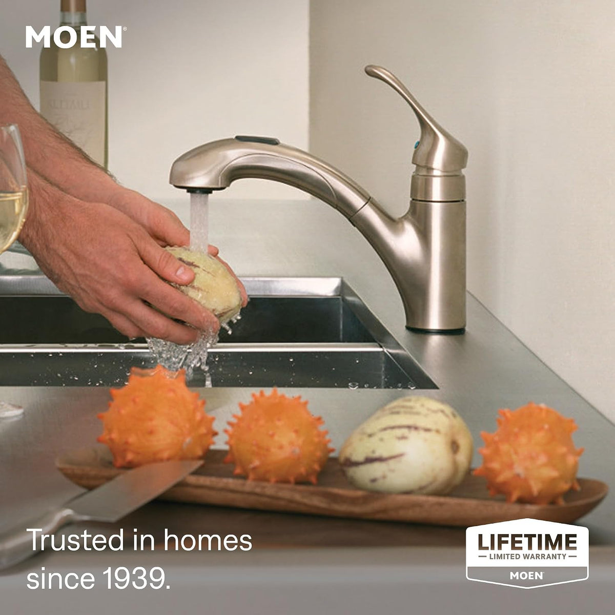 Moen Renzo Spot Resist Stainless One-Handle Pullout Kitchen or Laundry Faucet Featuring Power Clean, CA87316SRS